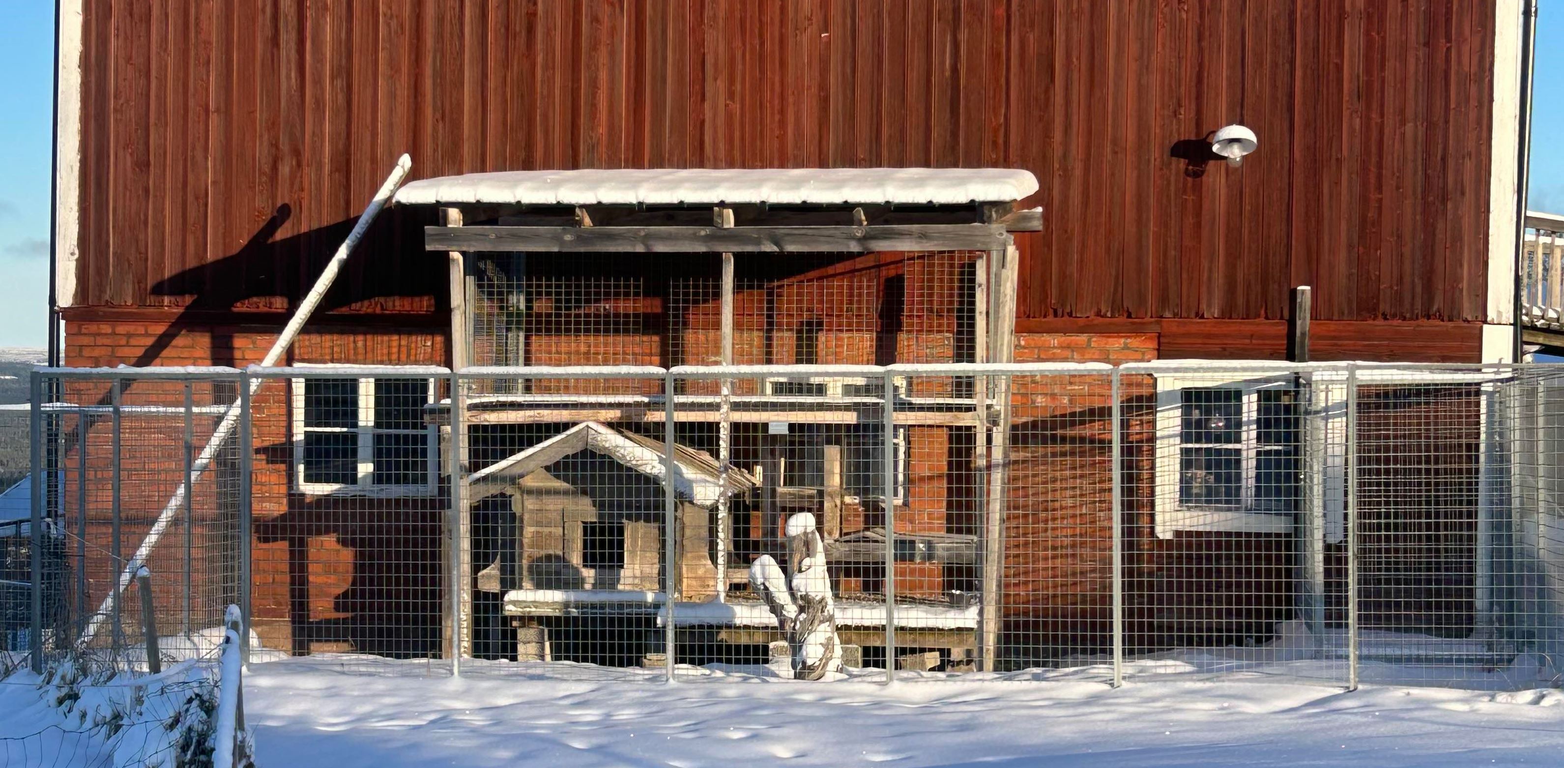 Johanna Hebert Hundgård Berikning1