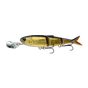 Golden Shiner