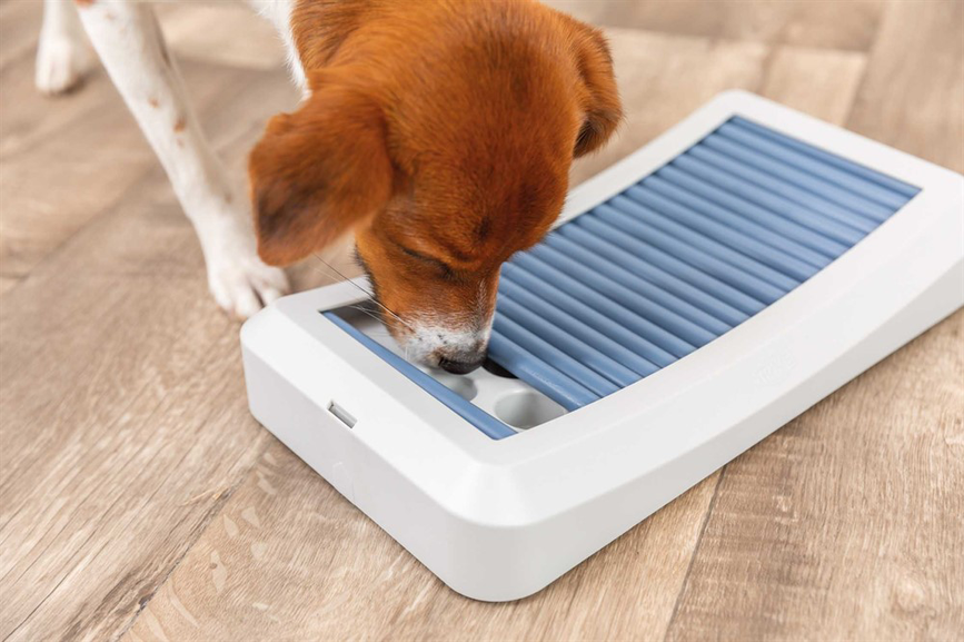 prod1000-dog_32051-11.png