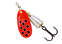 Red Belly Shad