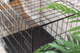 prod1000-det_39301-39302-39303-39304-39305-1_.png