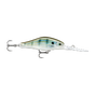 Pinfish