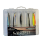 Sjøørret