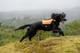protector_neoprene_vest_setting_1.png