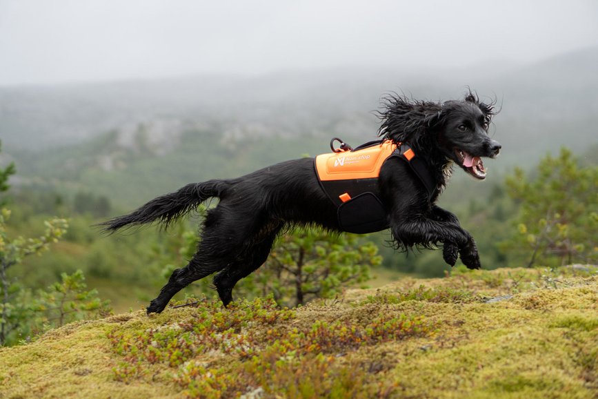 protector_neoprene_vest_setting_1.png