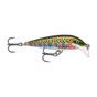Rainbow Trout