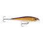 Gold Shiner