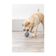 prod1000-dog_34943-3.png
