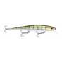 Metallic Yellow Perch