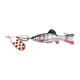 image-247222311749-image_597pl336pt54p1rato9a83313a--s1536x2048-fpng-119888_swatch.png