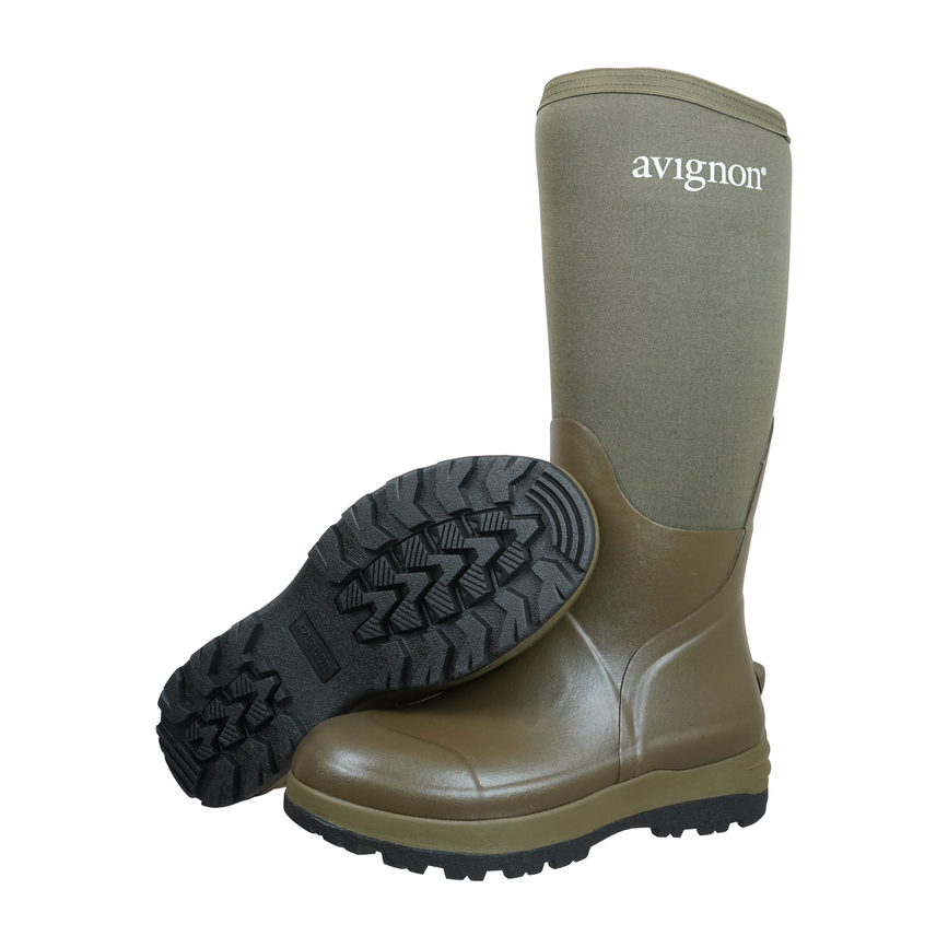 avignon_avignon_avignon.757.mora.high.green.par.png