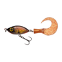 Crucian Carp
