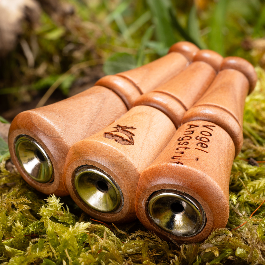 ce-9e-f2-1716289856-510512_9.png