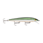 Tennessee Shad