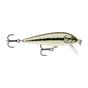 Artistic Minnow