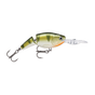 Yellow Perch