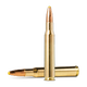 20176532-20176532-2.png