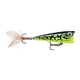 image-247222311749-image_kv31l387hp5kb70fulqa7g9r7k--s1536x2048-fpng-151379_swatch.png