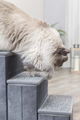 prod1000-cat_39490-01-39435-3.png