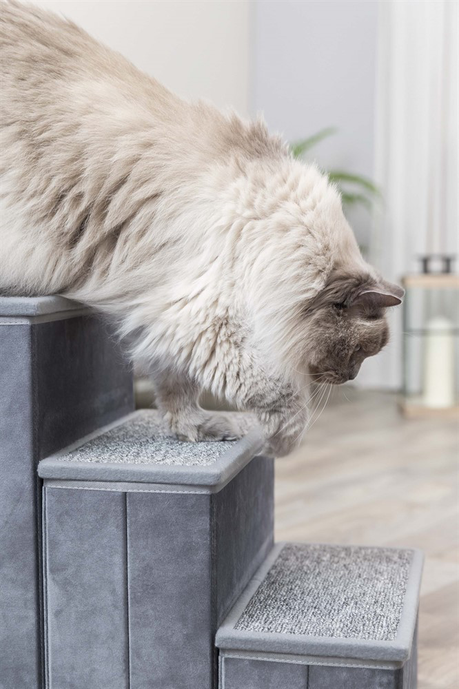 prod1000-cat_39490-01-39435-3.png