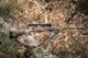 horizon_elite_strata_6-1620x1080.png