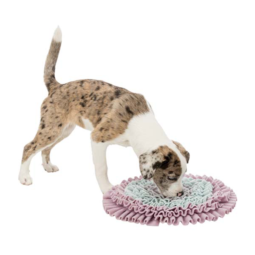 prod1000-pho_pro_dog_clip_32039-1.png
