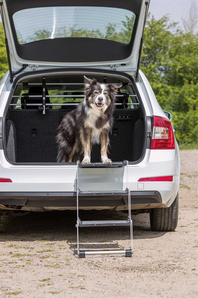 prod1000-image_dog_bordercollie-sonic-falttreppe-auto-3.png