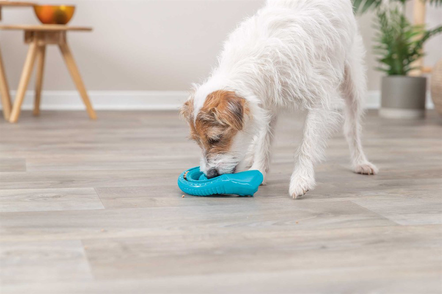 prod1000-dog_34933-6.png