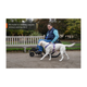 line_harness_5_0_rp_setting_8.png