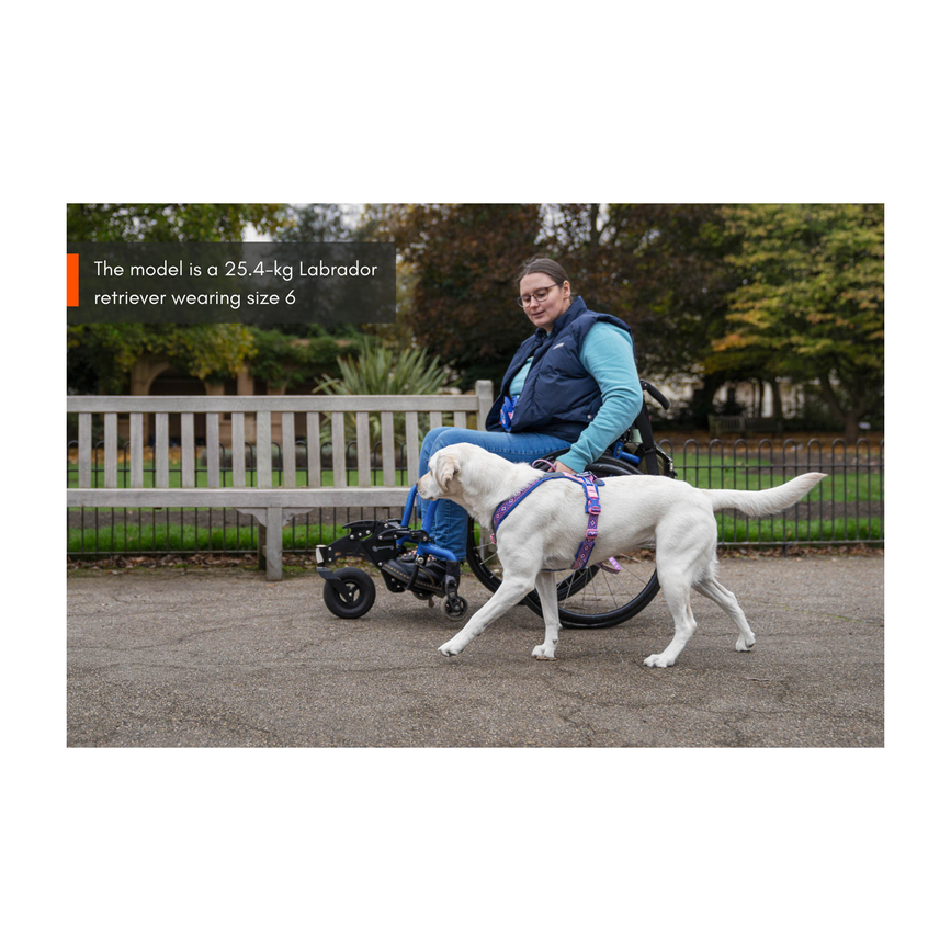 line_harness_5_0_rp_setting_8.png
