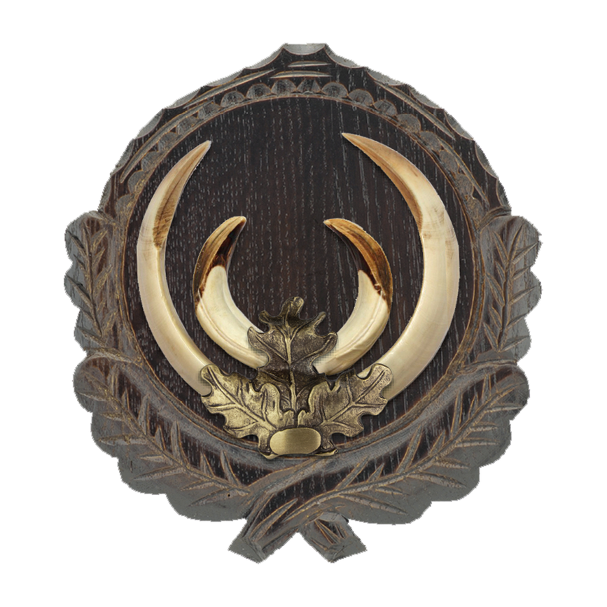 560847_1.png