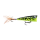 api-2000x2000,fit-new-151379.png
