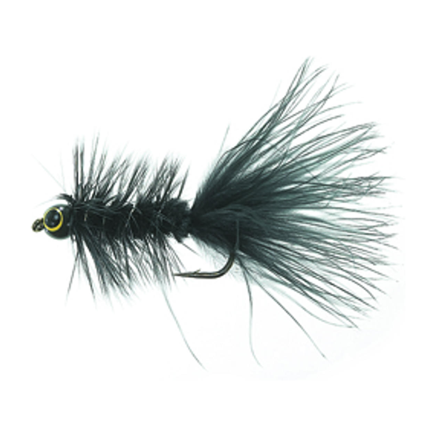 4-fairpoint-public-pim-bc-b3358726-9f31-49ed-aad3-244fa23789f6-fl20000vw_fl21021_large.png