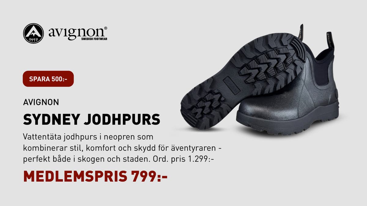 Butiksskärmar club jaktiadagarna April 2026_page-0007.jpg