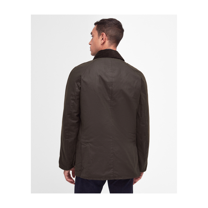 mwx0339ol71_04back.png