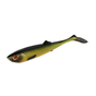 Tench