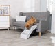 prod1000-pro_dog_01-39475-2.png