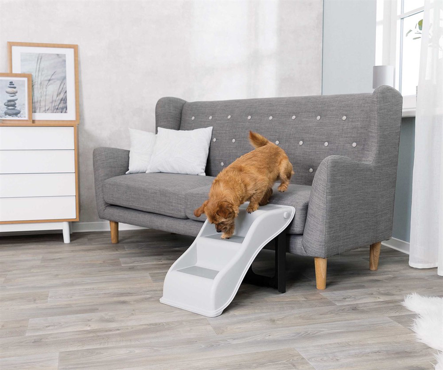 prod1000-pro_dog_01-39475-2.png