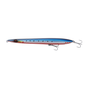 Red Belly Sardine