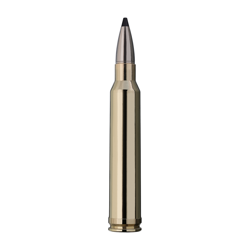 user_upload-rws-bilder-produkte-munition-buechsenpatronen-patronen-2401220_rws_300wm_speed-tip-pro_10,7g_einzelpatrone-seite.png