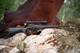 horizon_black_synt_3-1620x1080.png