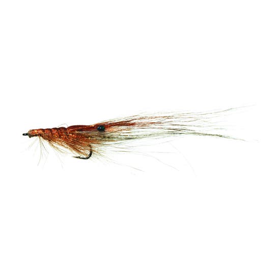 4-fairpoint-public-pim-bc-6eaeb9eb-d36c-4a0f-9114-5c8e692fb8b1-fl11200u_fl11239_organza-shrimp_large.png