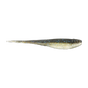 Bait Fish