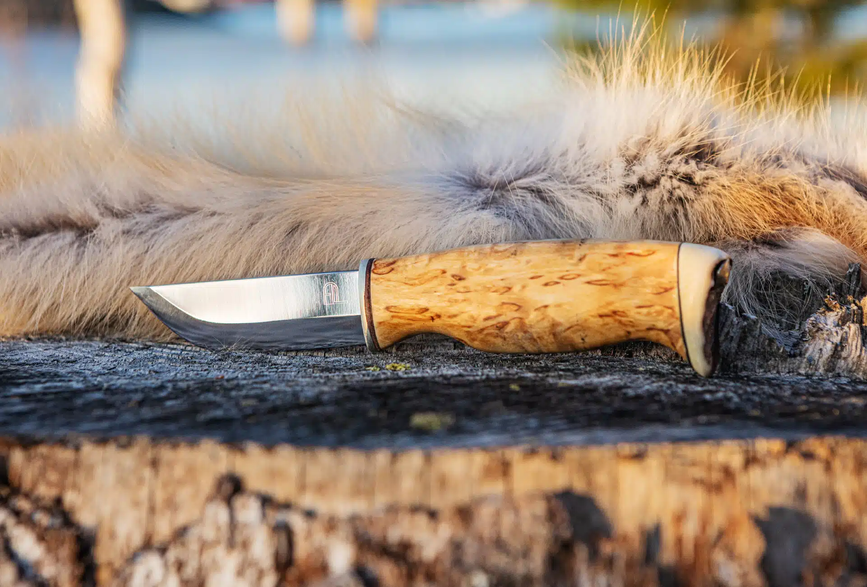 2020-09-stainless-curlybirch-1_.webp.png