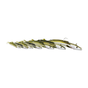 REAL BUTTERFISH
