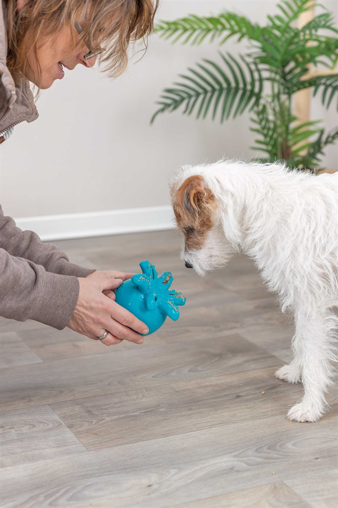 prod1000-dog_34933-4.png