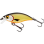 Official Roach
