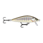 Gilded Brown Trout