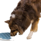 prod1000-25039-4.png