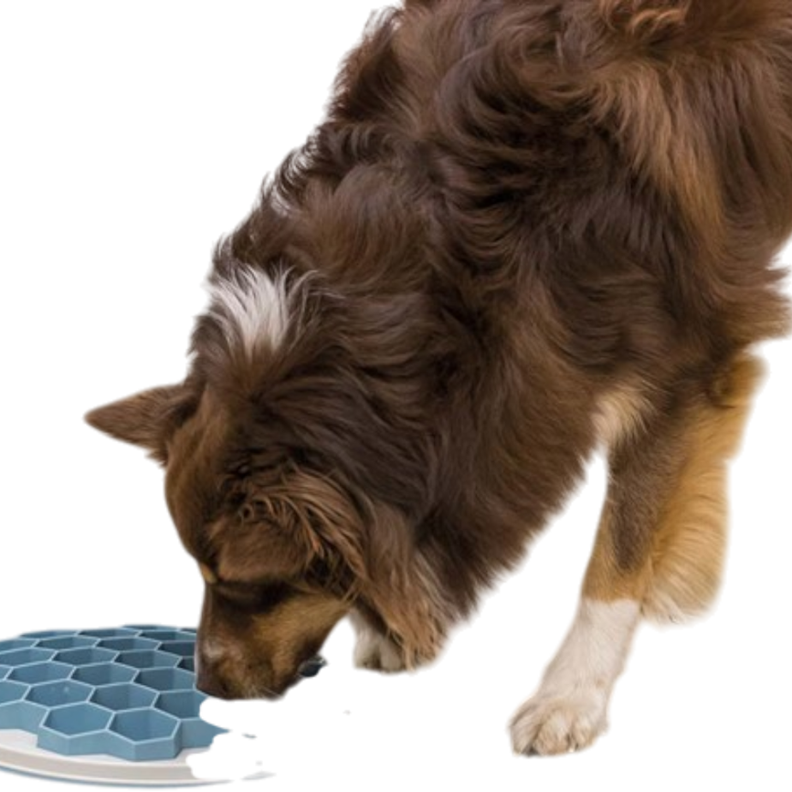 prod1000-25039-4.png